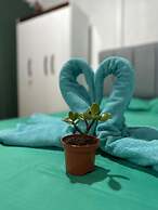 La Casa De Detours Costa Rica