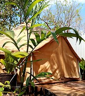 Cozumel Glamping