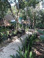 Cozumel Glamping