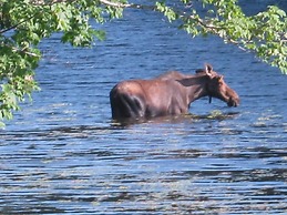 Alamoosook Lakeside Inn