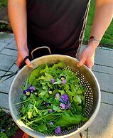 Alamoosook Lakeside Inn