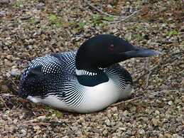 Alamoosook Lakeside Inn