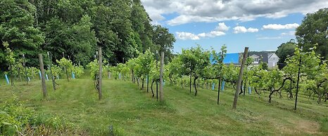 The Cottage At Amos Lake