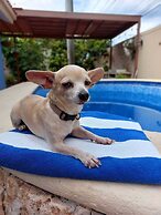 Casa Sol y Luna with pool in merida