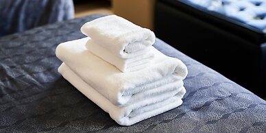 IZUTSU HOTEL KYOTO KAWARAMACHI SANJO