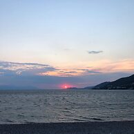 P J Apartments Wagon II