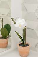 Stylish Studio Seredyńskiego by Renters