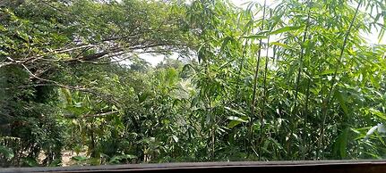 Matsya Island Retreat