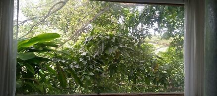 Matsya Island Retreat