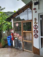 Matsya Island Retreat