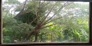 Matsya Island Retreat