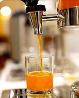 The Escape Luxury Desert Resort