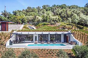 Villa Beyond the Horizon