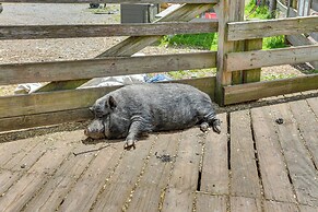 Honesdale Cabin on 110-acre Farm: Pets Welcome!