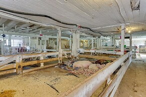 Historic Honesdale Cabin on Farm & Animal Rescue!