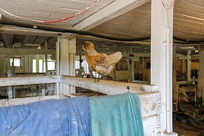 Historic Honesdale Cabin on Farm & Animal Rescue!