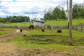 Historic Honesdale Cabin on Farm & Animal Rescue!