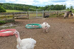 Historic Honesdale Cabin on Farm & Animal Rescue!