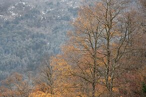 Amazing Property in Mountains SMA-GB by Apartments Bariloche