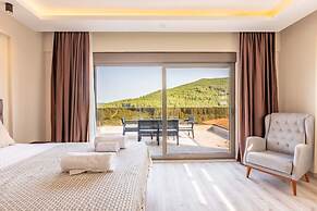 Villa w Pool BBQ Garden 5 min to Phellos in Kas