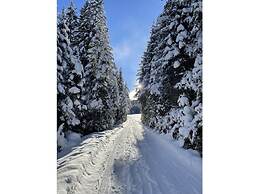 Holiday Apartment Alpengluhen