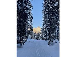 Holiday Apartment Alpengluhen