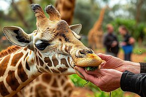 Candlewood Suites Chattanooga – Hamilton Place by IHG