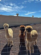 Raptor Ranch Glamping