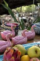 Casa Noma Noma