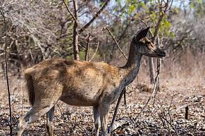 Villa Sari Bumi Menjangan