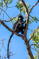 Villa Sari Bumi Menjangan