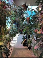 Rental cottage Santorope