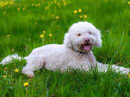 Waldtroll Comfortable Holiday Residence