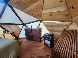 Raptor Ranch Little Owl 1