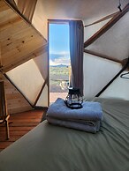 Raptor Ranch Little Owl 1