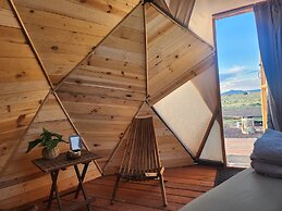 Raptor Ranch Little Owl 1