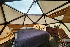 Raptor Ranch Little Owl 1