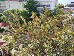 Siem Reap Town Hotel