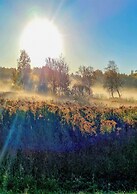 Cofy Rentals Tartu