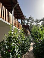 Asmalı Köşk Pansiyon