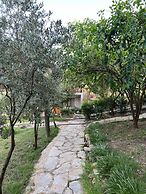 Asmalı Köşk Pansiyon