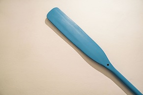 I Remi del Prione by Le 5 Terre