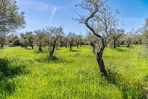Sardinia Re - Casa Baingio