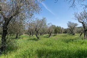 Sardinia Re - Casa Baingio