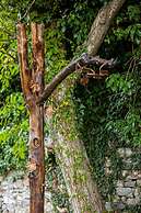 Meli Sea-view Cottage