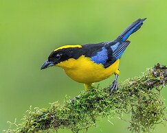 Owl's Watch Nature Retreat