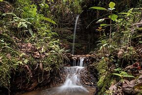 Owl's Watch Nature Retreat