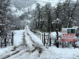 Rincon del Bosque