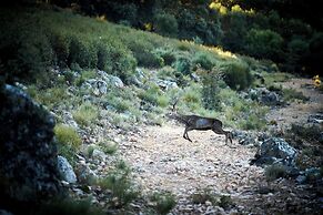 Palacio Viejo de las Corchuelas