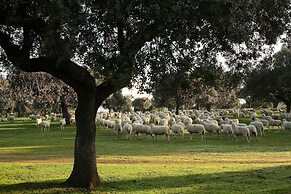 Palacio Viejo de las Corchuelas
